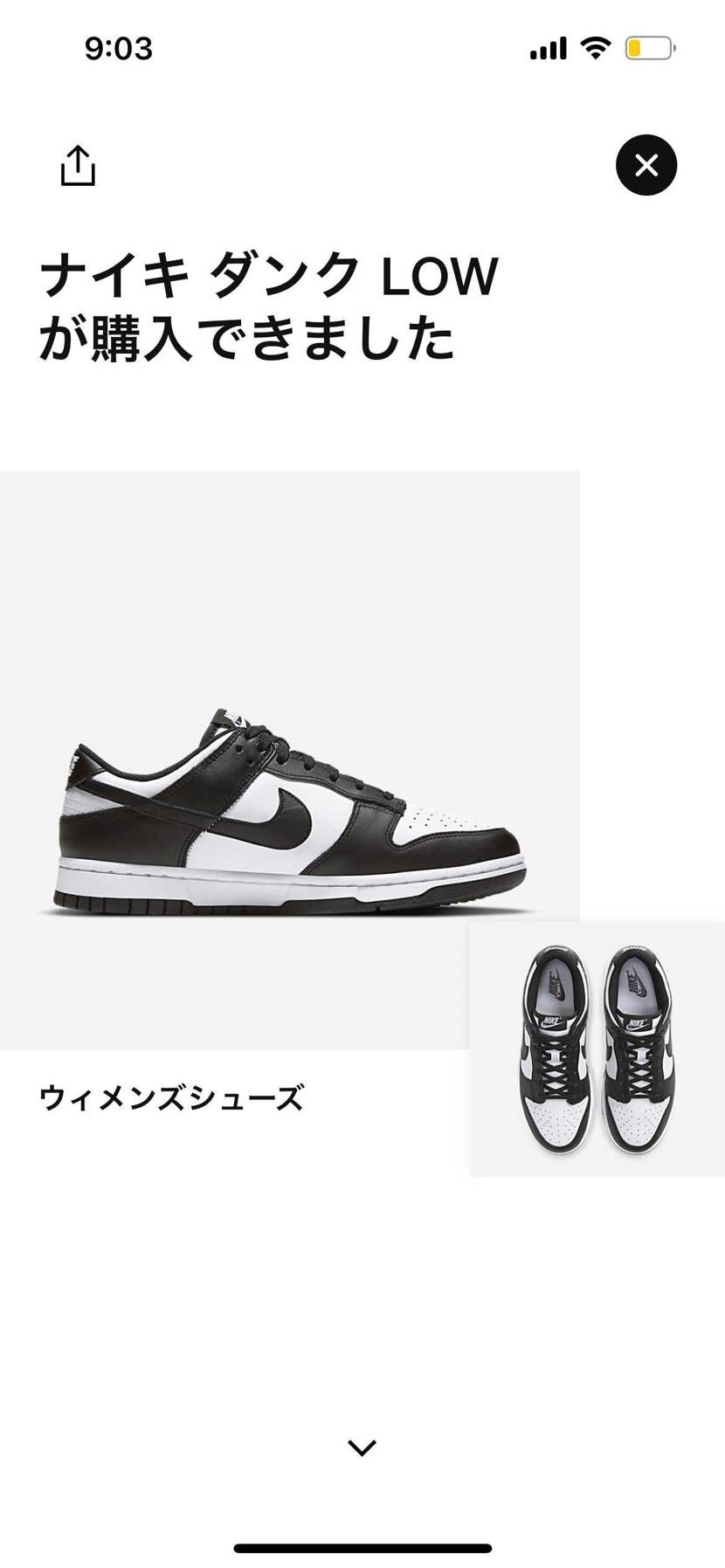 パンダ🐼