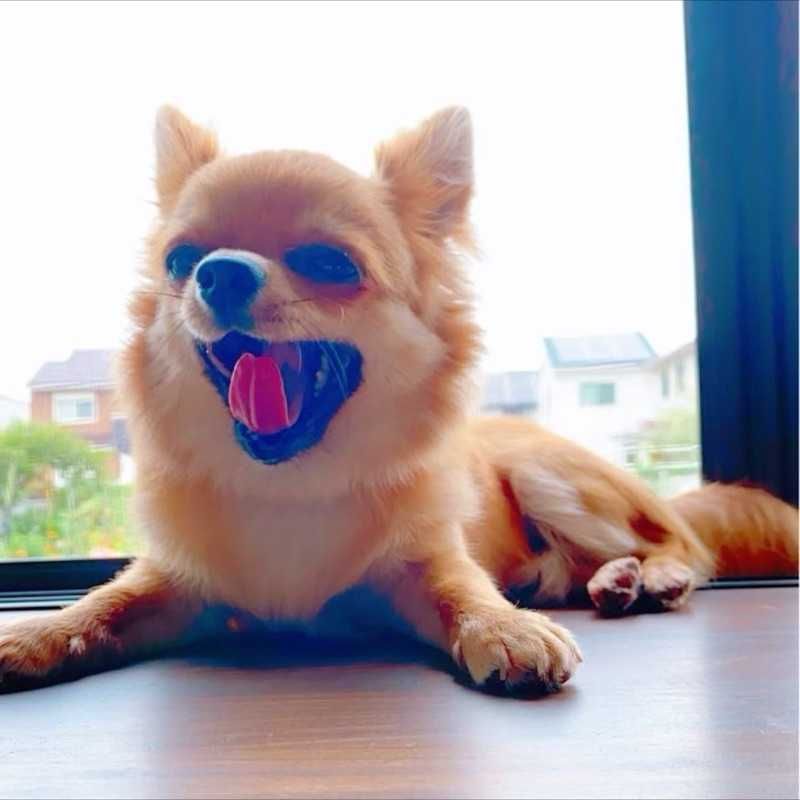 たいち