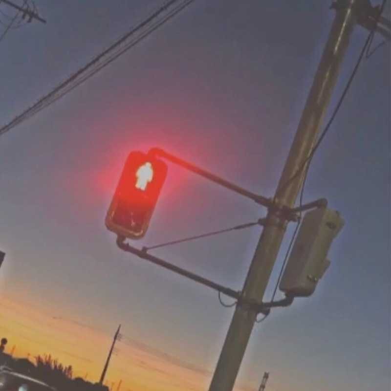 真弘