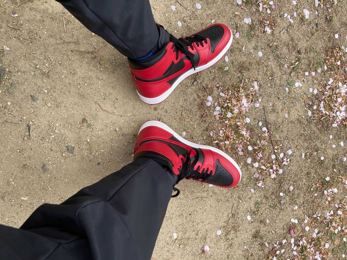 愛犬の散歩にバーシティ（＾ω＾）
桜も散り始め🌸良い天気ですなぁ(´∀｀)