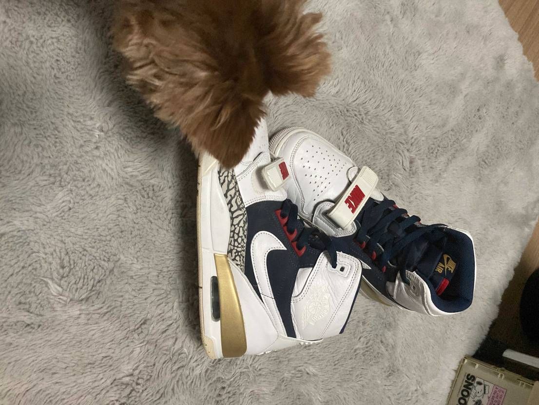 チワワ軍曹の鑑定が終わりました！！

『これバリスティッ