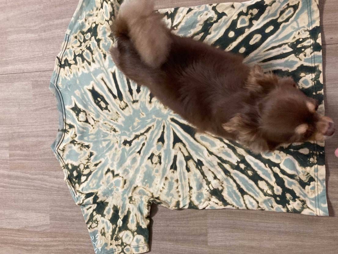 キャラがグッと飛び出ないかなぁ〜
色も淡い緑やビンテージ感出したいな〜
って