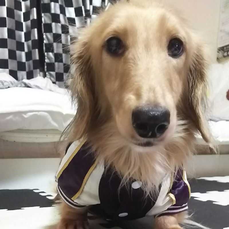 なおたん
