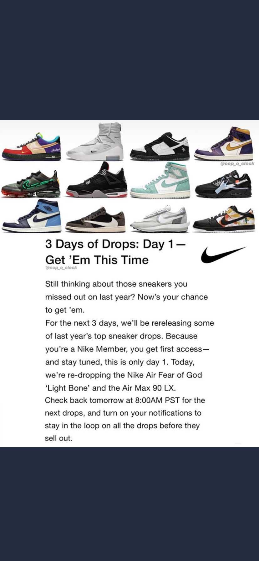 日本はなんで豪華な🐿こないんだよ😭