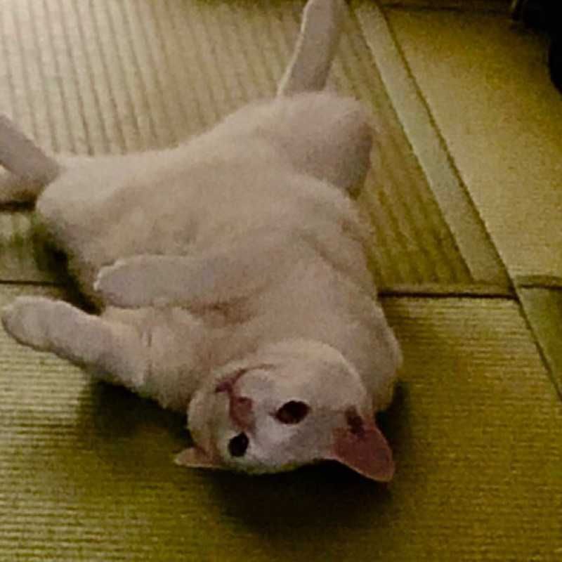 濵村湧大