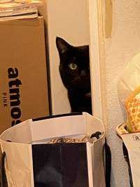 ユーザーアイコン