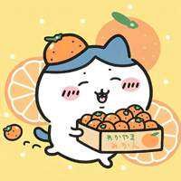 藤原悠真(出品者)
