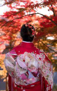 ドスアンマン(出品者)