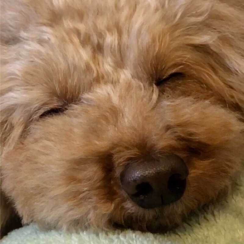 こへ