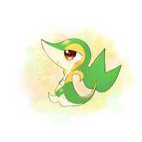 Shin