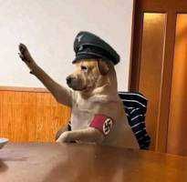 ミツバ