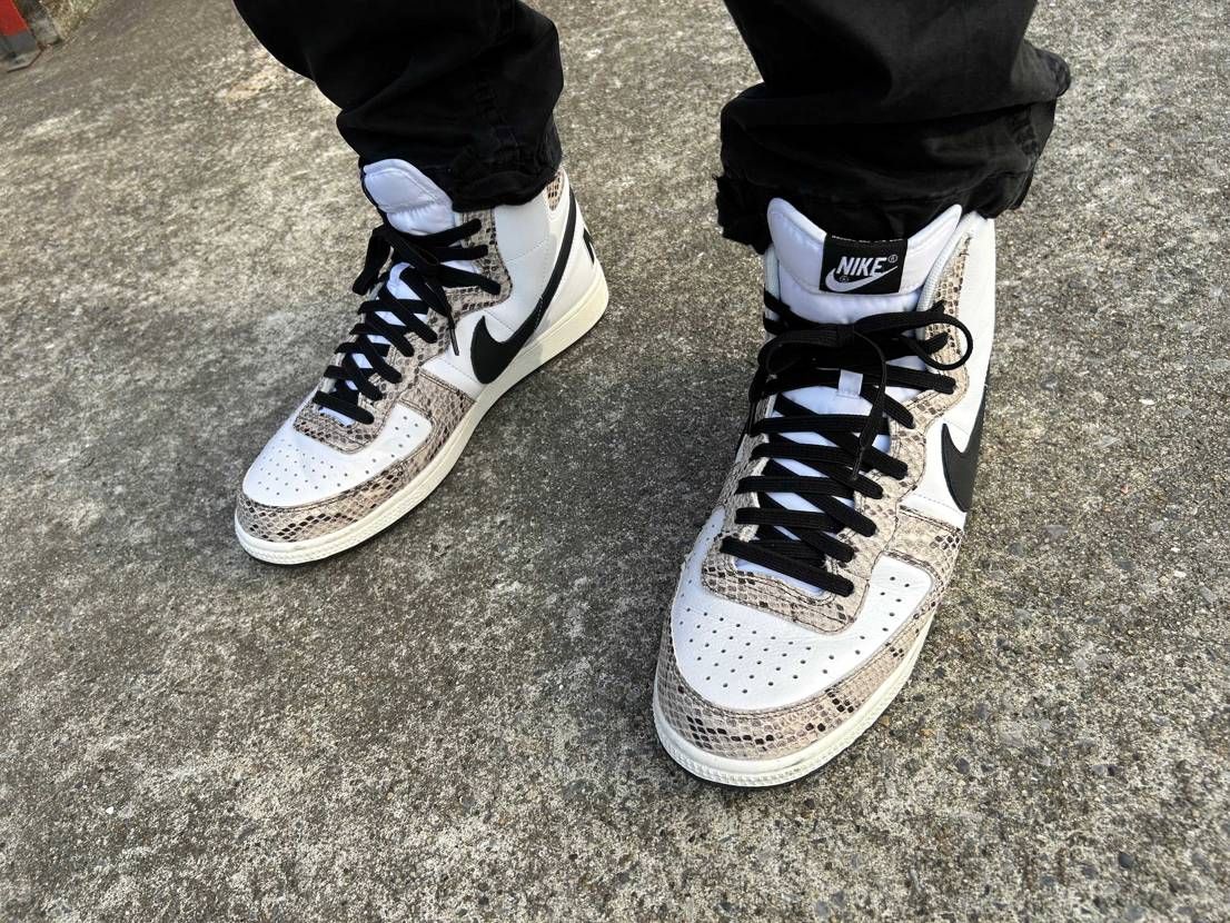 今日も神社にお参り🙏⛩
縁起の良さそうな白蛇🐍😊