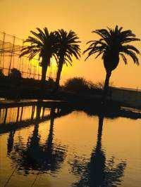 ユーザーアイコン