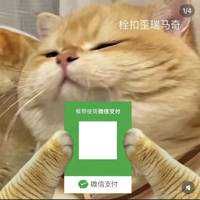CHEN YIFU