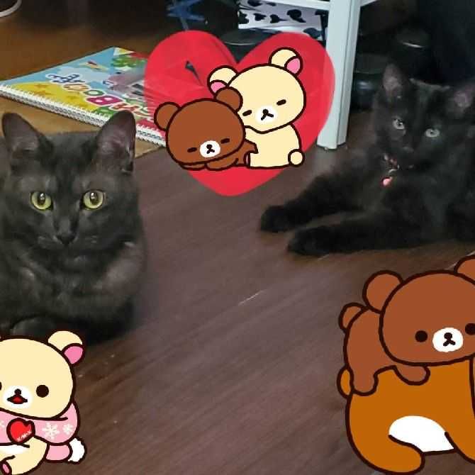まさひこ