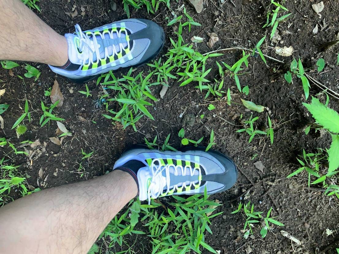 ふらっと寄った雑木林
ハーパンだったので4箇所蚊に食われま