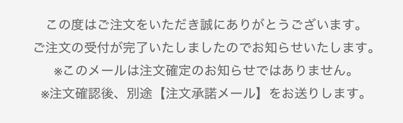 ピンクフォーム🫧の🐿️買ったんだけどatmosからのメールで不安になってます。こ