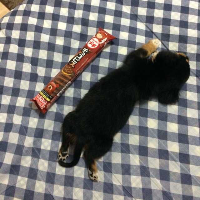 ももも(出品者)