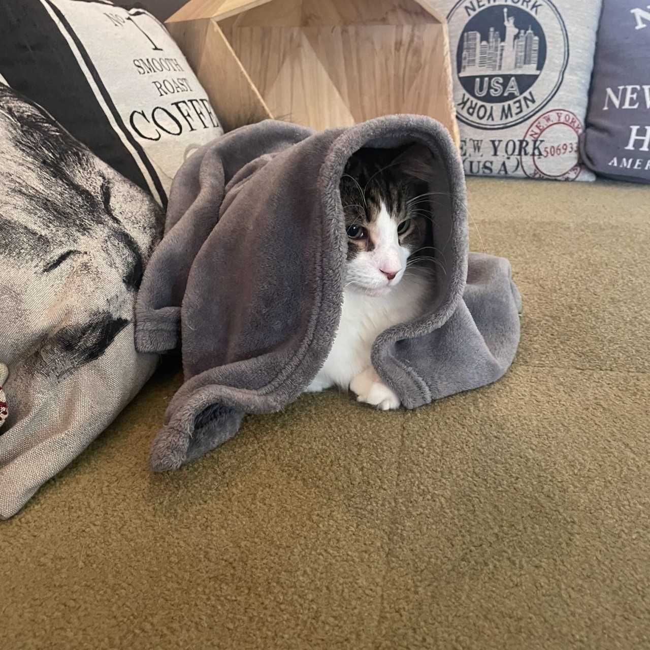 りゅ