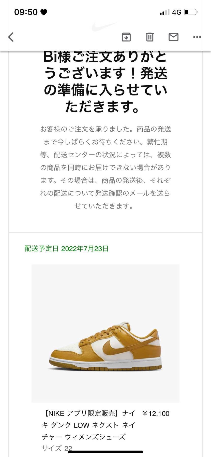 ナイキダンクLOWネクストネイチャー