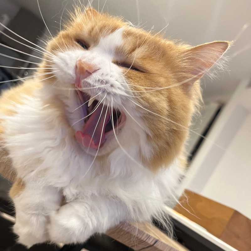 たかひろ