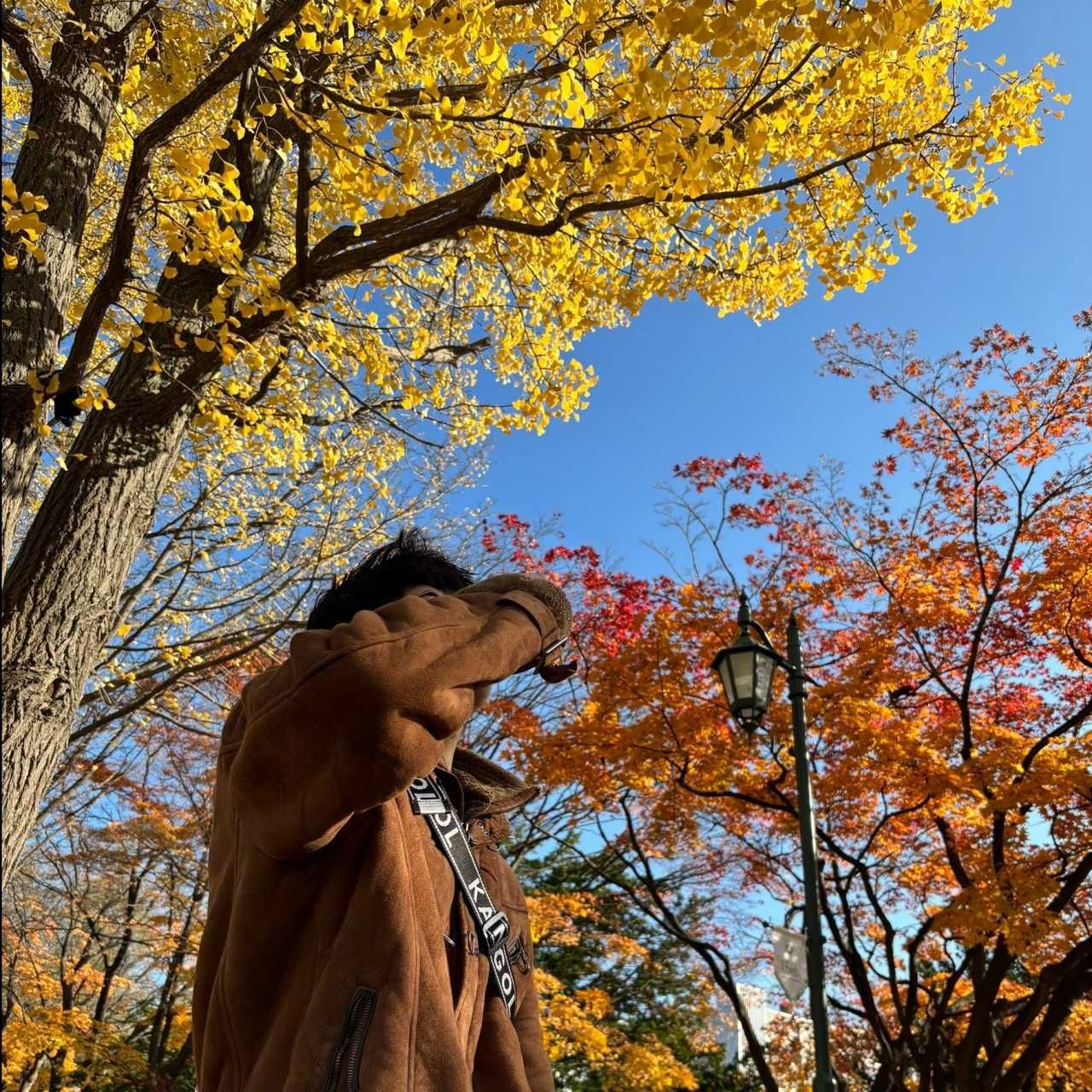 たつや