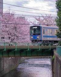 japania