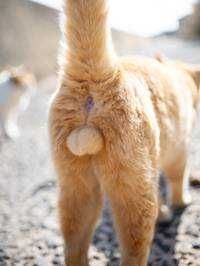 ユーザーアイコン