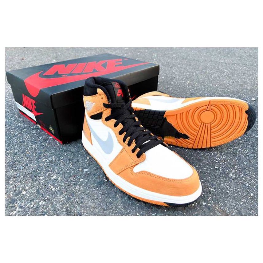 NIKE AIR JORDAN 1 HIGH
ELEMENT GTX ’’Li