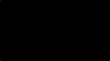ねぎ