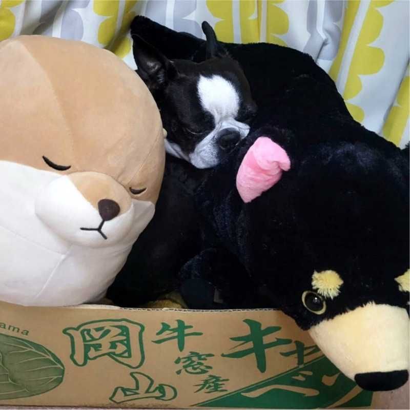 たつき(*´∀｀*)
