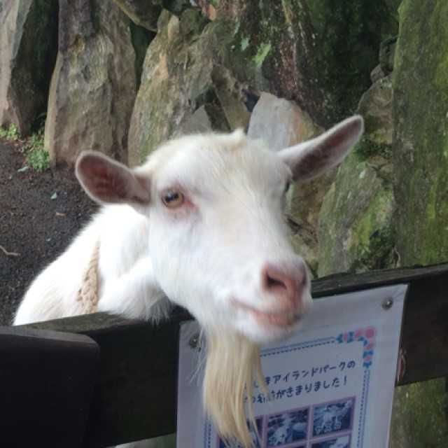 れん