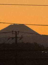 shousei