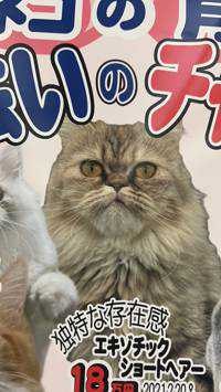 お桃