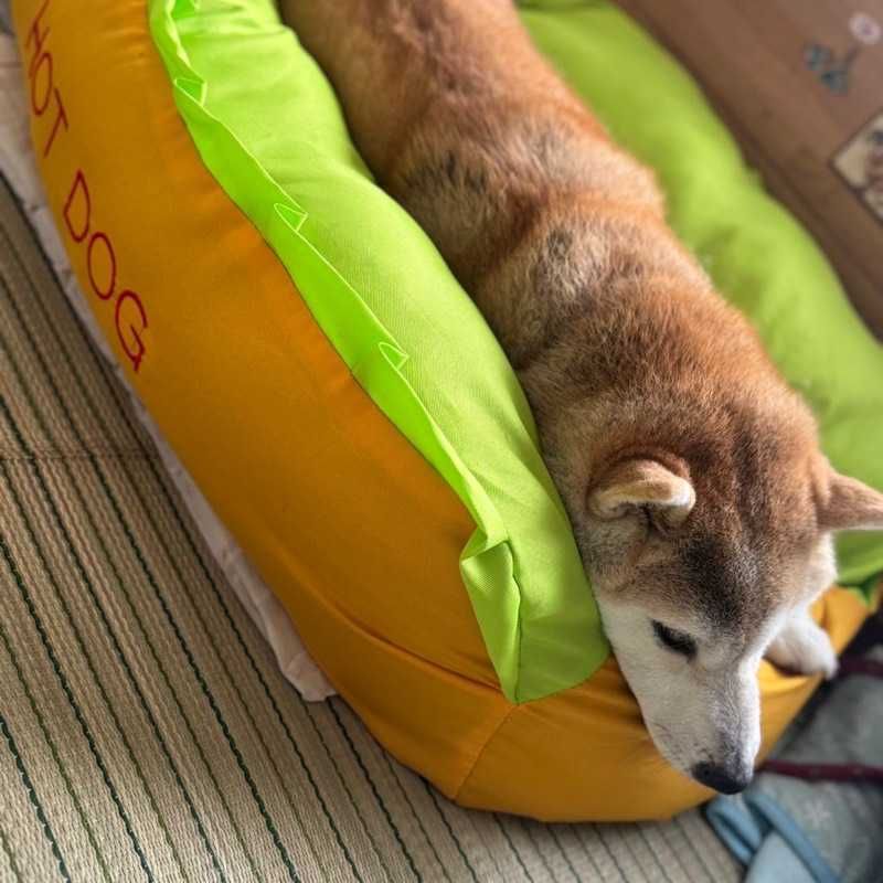 koki