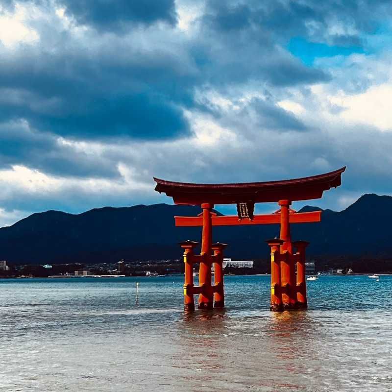 みかんじゅーす