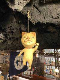 ねこ
