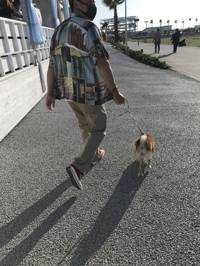 ユーザーアイコン