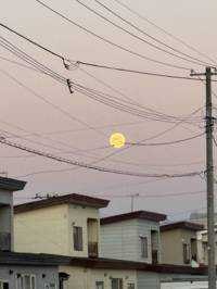 とも
