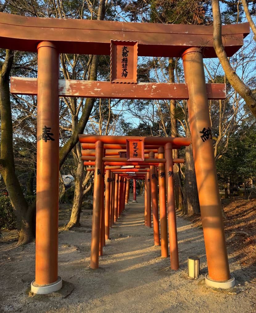 先日新入りを履いて、珠世さんを見つけに竈門神社に行って来たの
