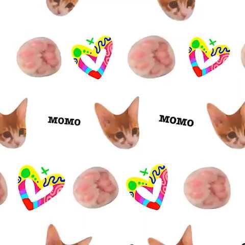 猫ねぇ