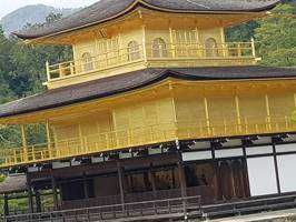 ヤマダ
