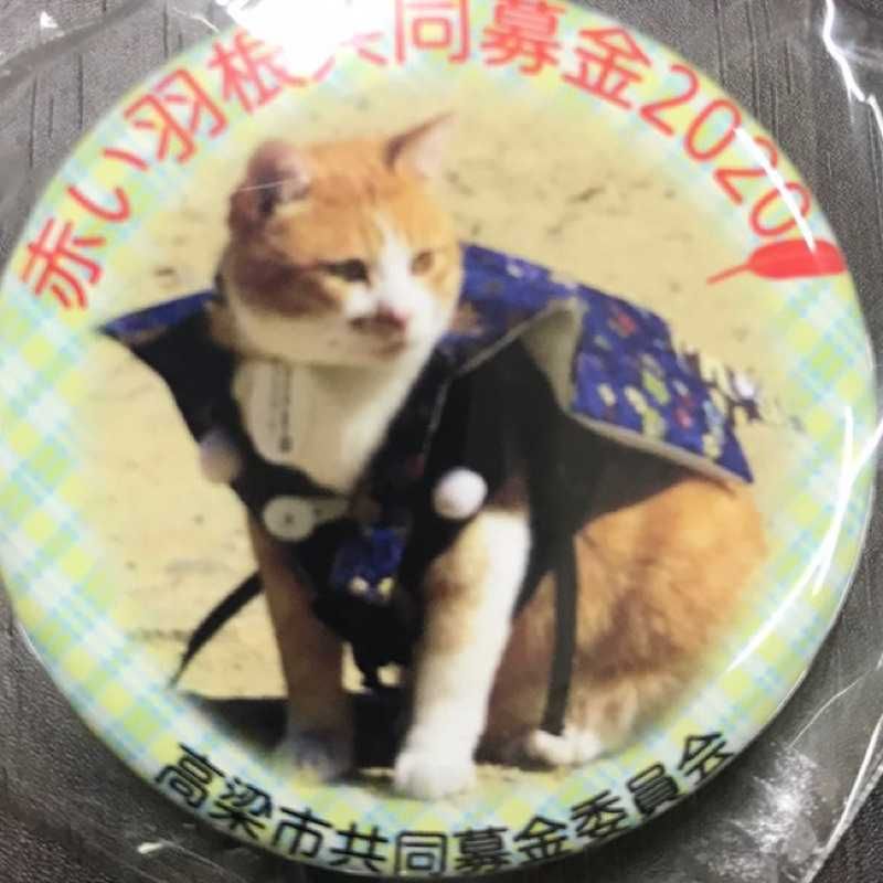 ユーザーアイコン