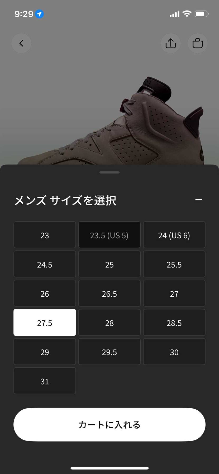 🐿️来ました！