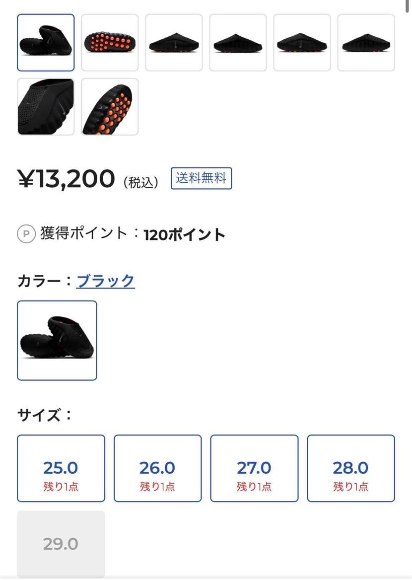 11時ごろから🐿️来てますよ