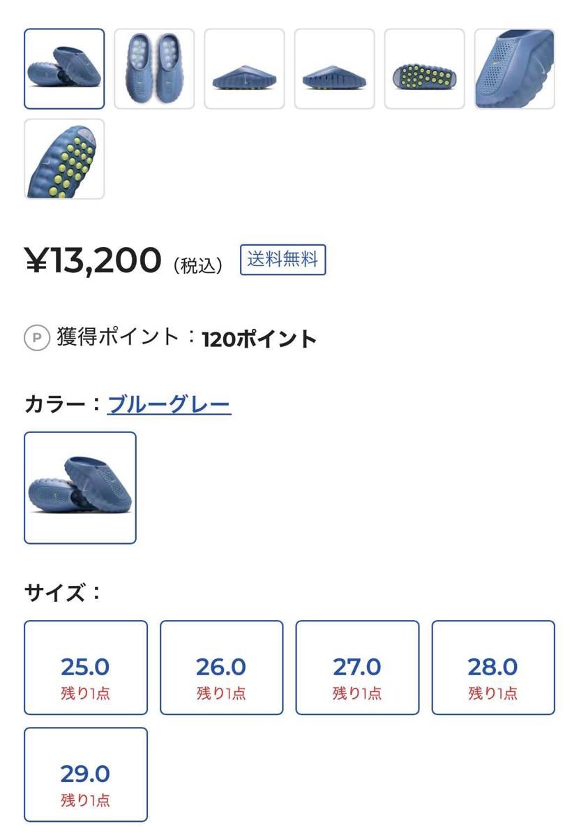 11時ごろから🐿️来てますよ