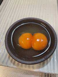無し