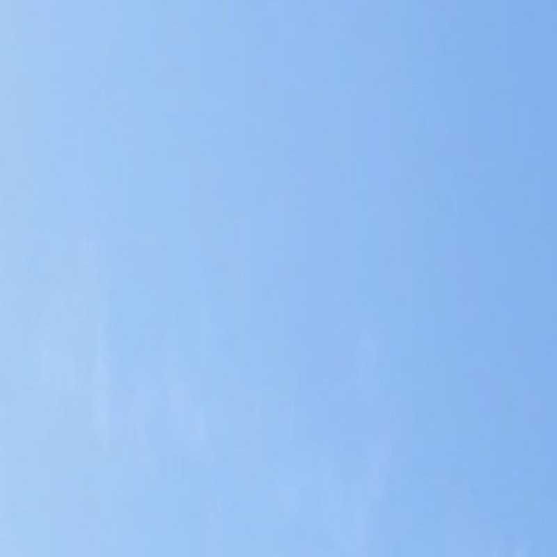 なめこ