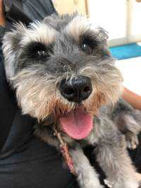 ユーザーアイコン