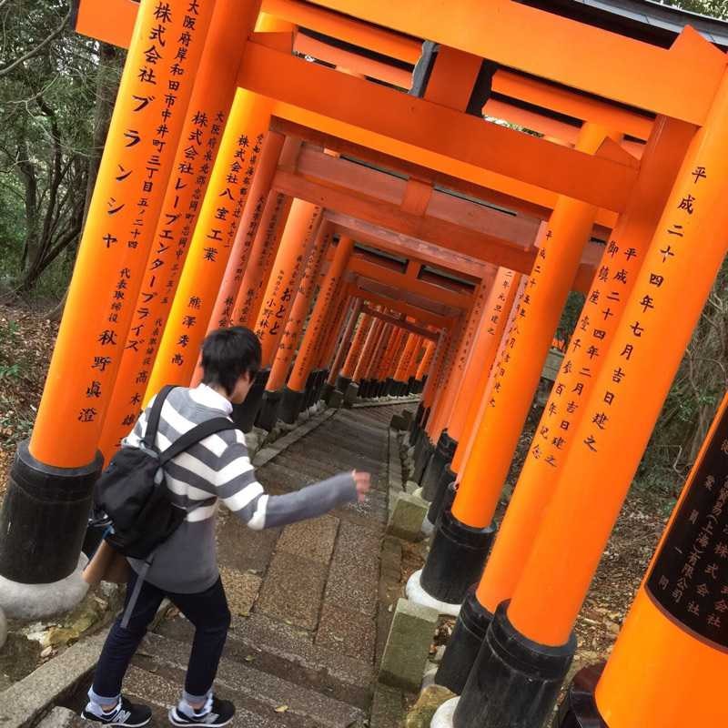 ダニ(出品者)